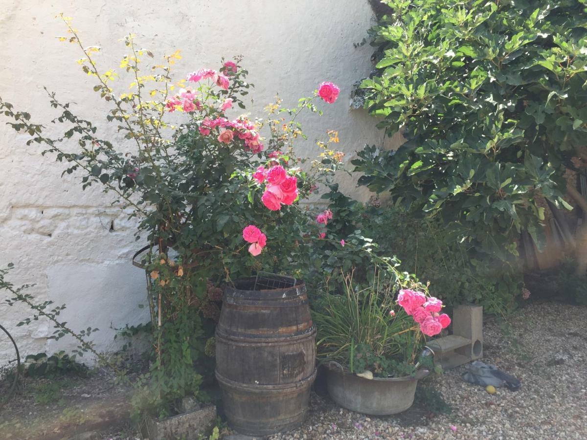 Aux Caprices Des Dieux Marnes 外观 照片